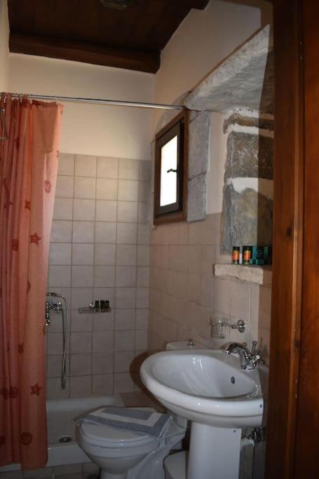 Traditional Villa With Pool In Sfakia Imbros 外观 照片