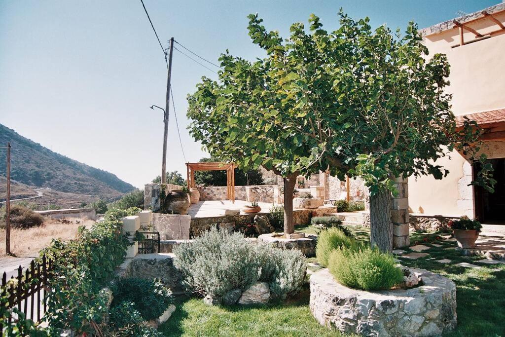 Traditional Villa With Pool In Sfakia Imbros 外观 照片